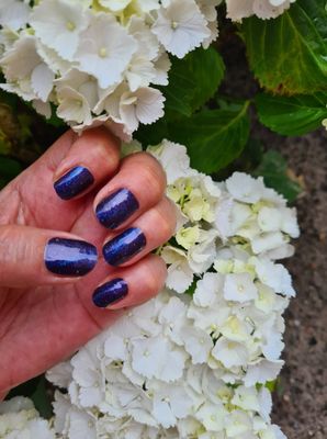 Glitter Night, 16er-Nagelfolie Glitter Night, 16er-Nagelfolie