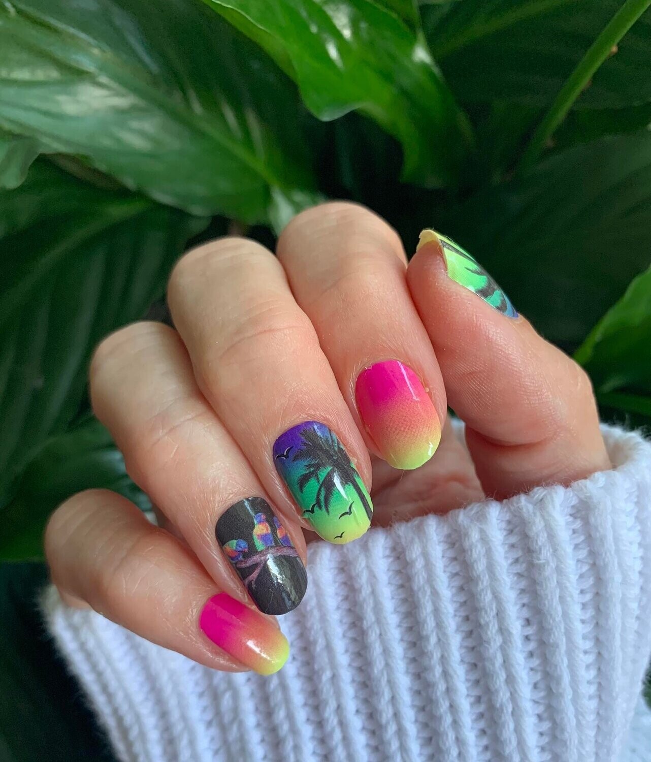 Paradise Birds, 16er-Nagelfolie Paradise Birds, 16er-Nagelfolie