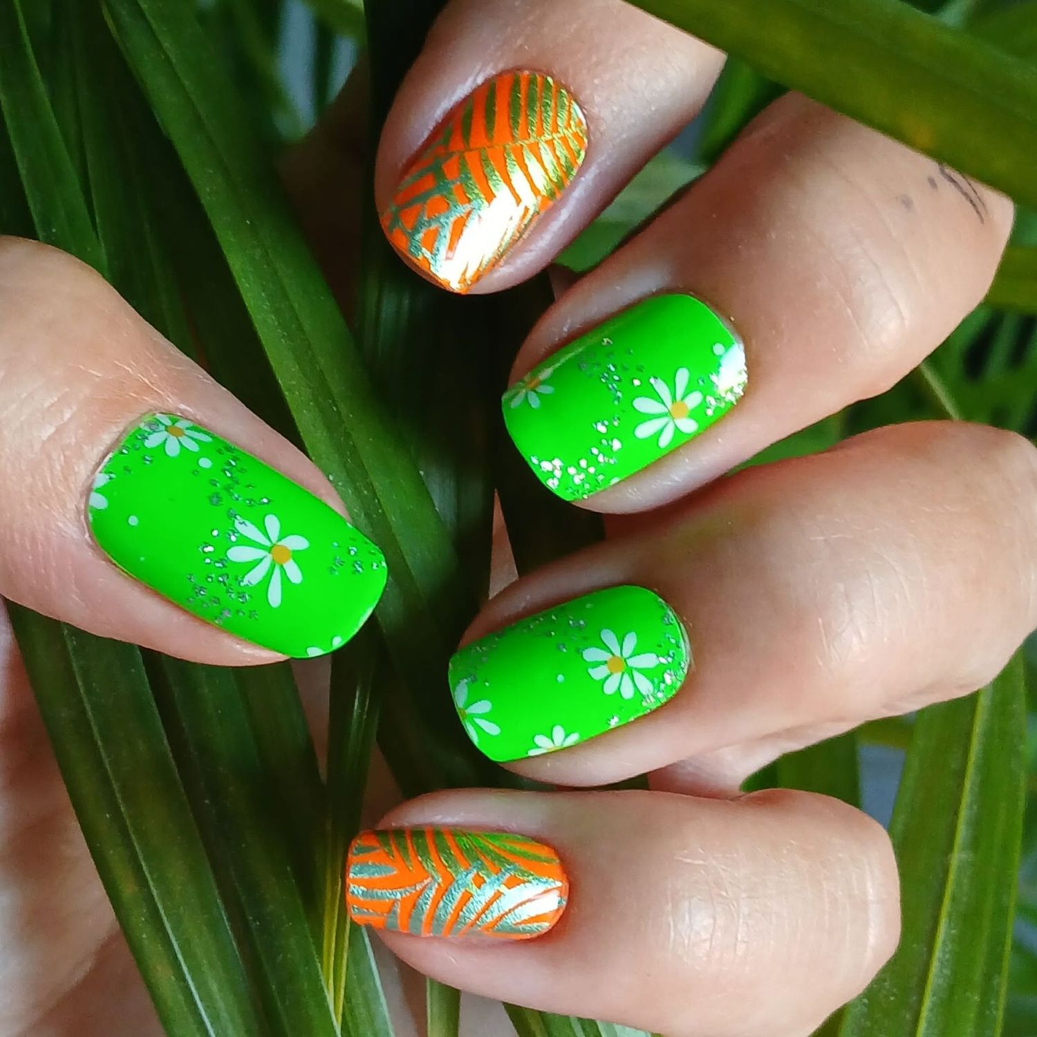 Tropic Leaves, Overlay, 16-er Nagelfolie Magic Nail Wraps