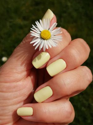 Limoncello, 16-er Nagelfolie