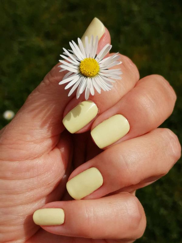 Limoncello, 16-er Nagelfolie Limoncello, 16-er Nagelfolie