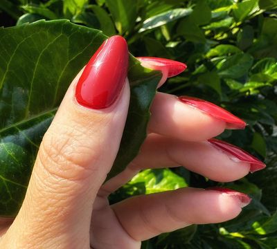 Tango, UV-Gel-Folie, 30er-Nagelfolie Magic Nail Wraps NG300003