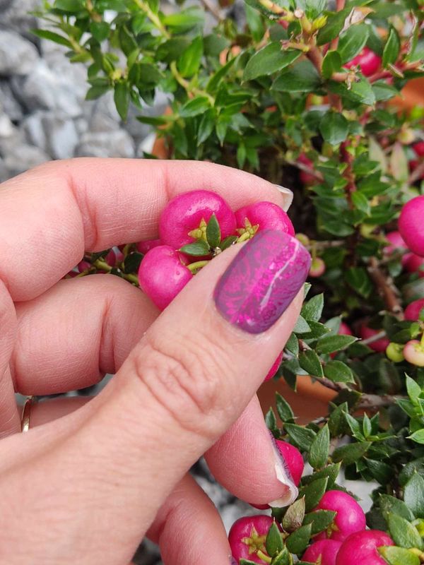 Awesome Grape,  16er-Nagelfolie Magic Nail Wraps Exklusivdesign