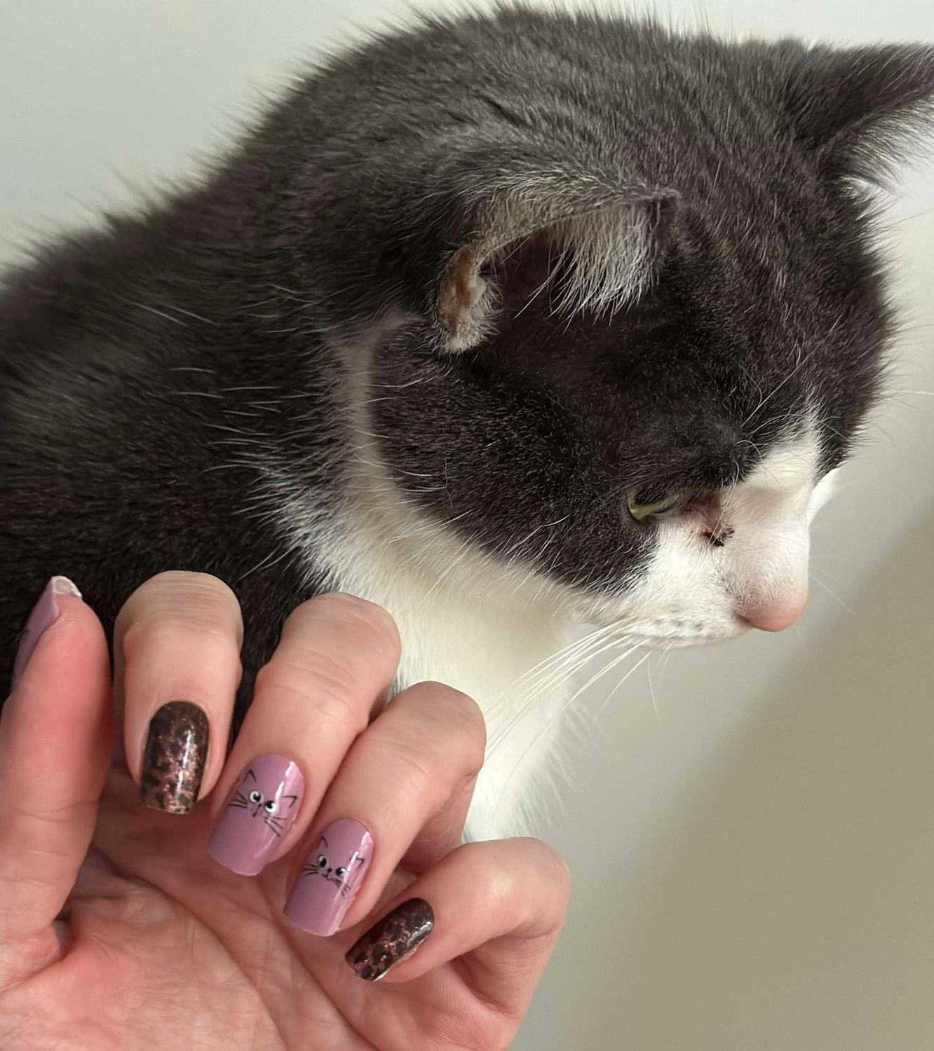 Mad Cats, Overlay, 16er-Nagelfolie Magic Nail Wraps Exklusivdesign Mad Cats, Overlay, 16er-Nagelfolie Magic Nail Wraps Exklusivdesign