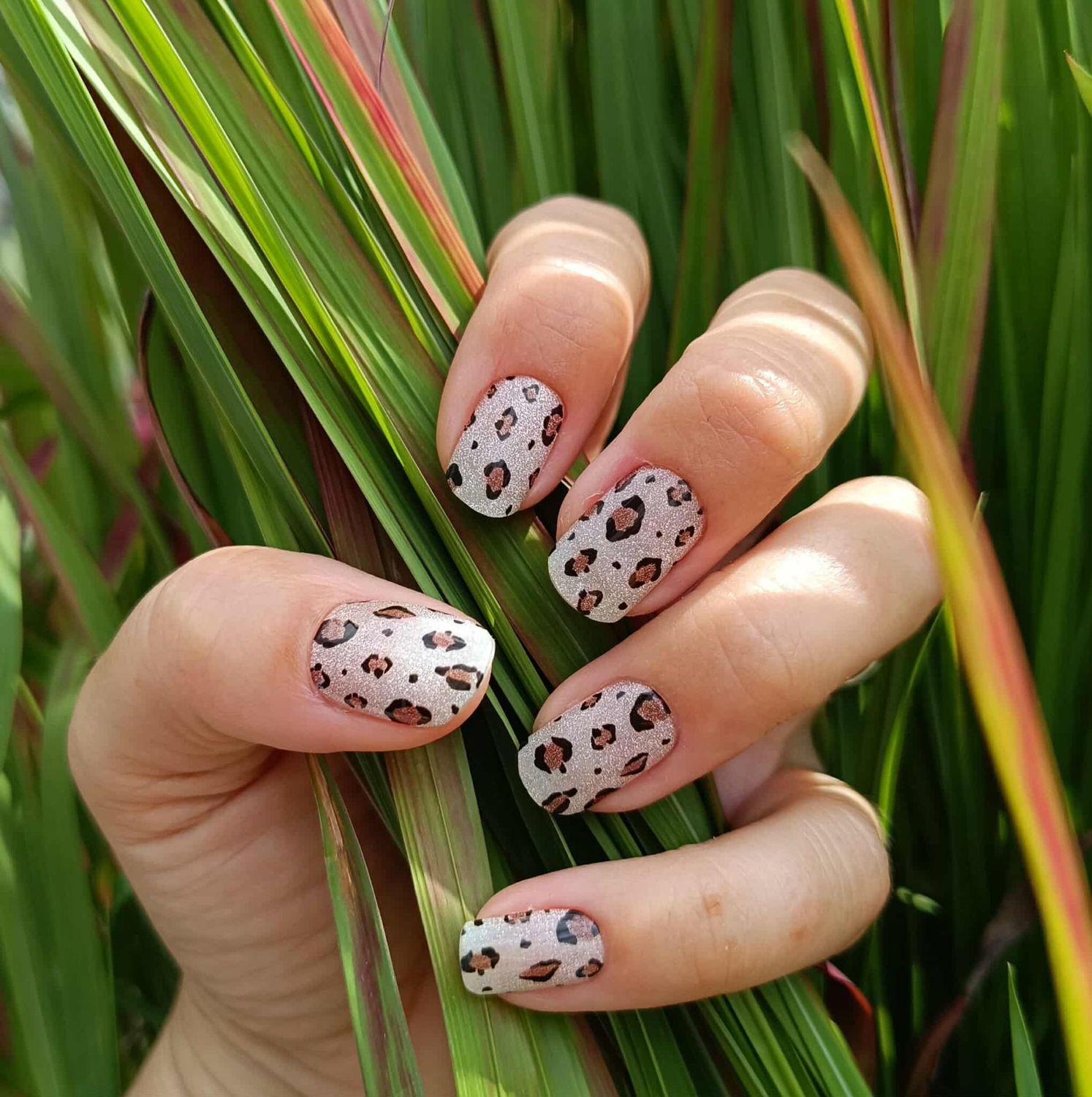 Velvet Savannah, leicht semitransp. UV-Gel-Folie, 20er-Nagelfolie Magic Nail Wraps NG200596 Velvet Savannah, leicht semitransp. UV-Gel-Folie, 20er-Nagelfolie Magic Nail Wraps NG200596