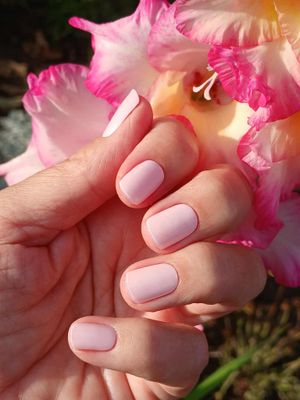 Blushing Bride, UV-Gel-Folie, 30er-Nagelfolie, Magic Nail Wraps, NG300013 Blushing Bride, UV-Gel-Folie, 30er-Nagelfolie, Magic Nail Wraps, NG300013