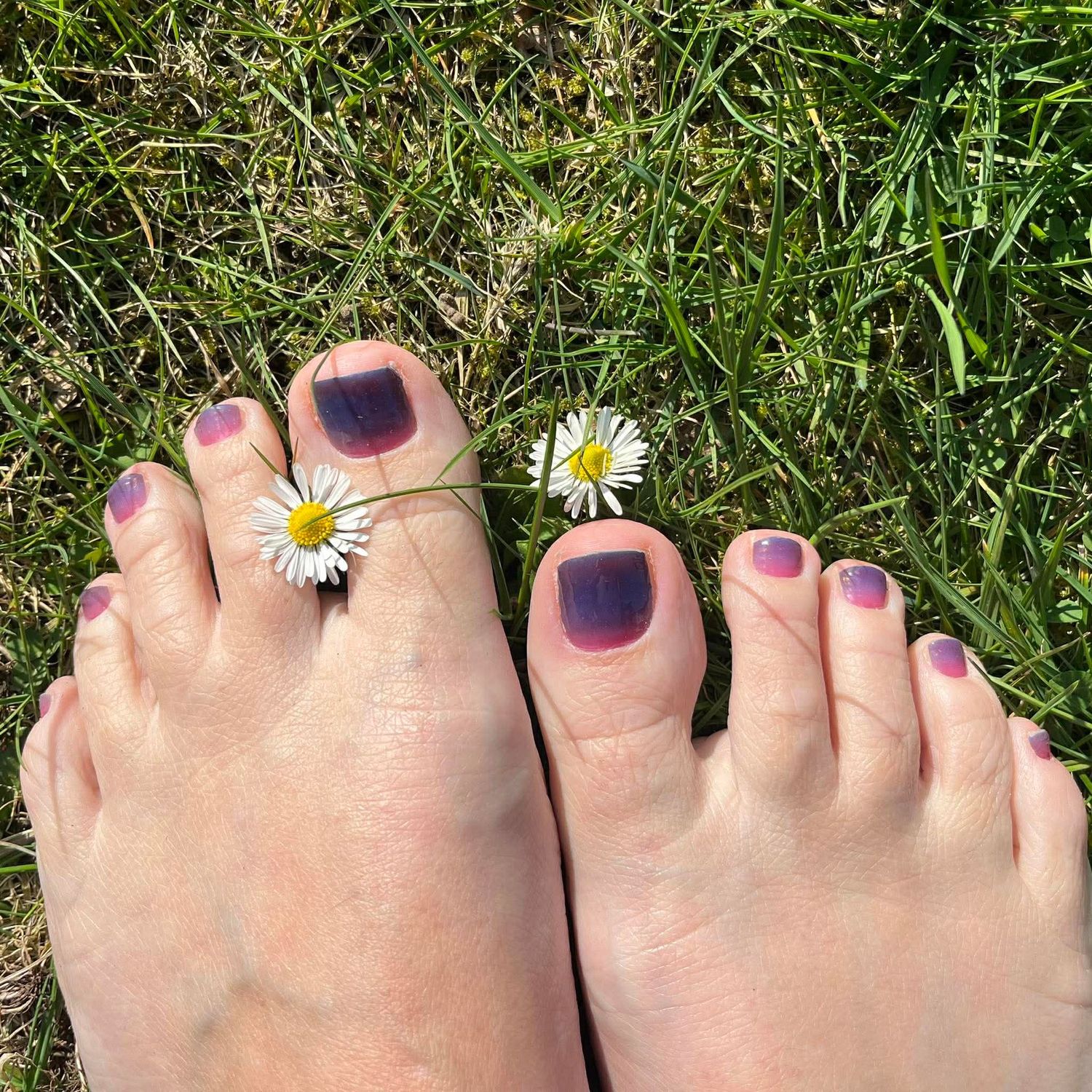 Lilac Sunset, leicht semitransparente 16er-Fussfolie Magic Nail Wraps