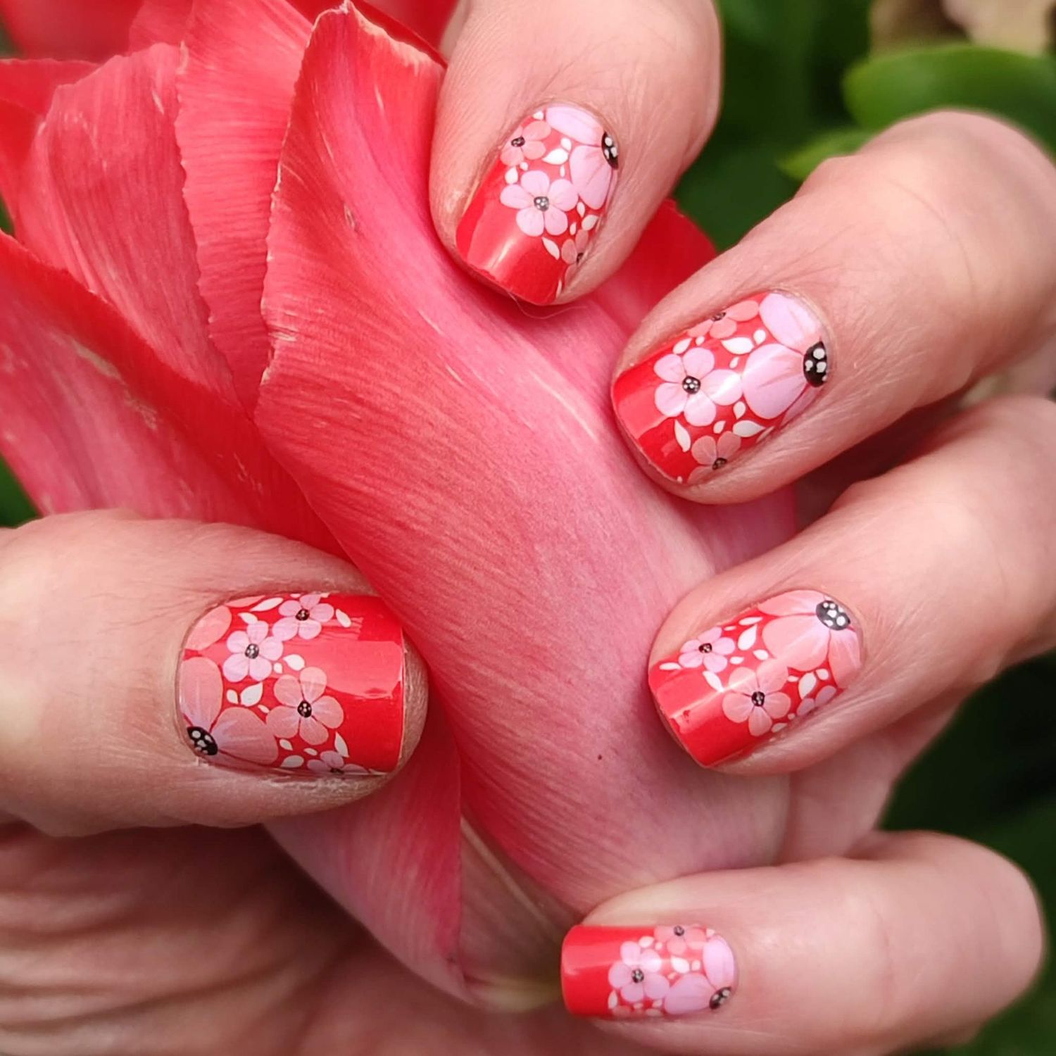 Red Flowers, 16-er Nagelfolie Magic Nail Wraps