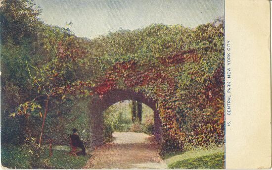 #16 Central Park, New York City - vintage postcard circa 1909