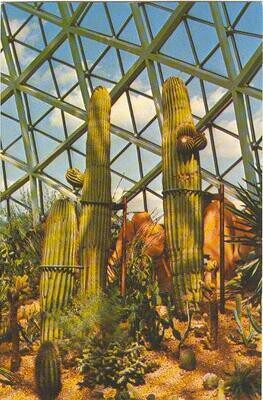 Chrome Postcard: Milwaukee's Arid Dome - circa 1960