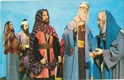 1960s CHROME: Christus Biblical Gardens, Gatlinburg, #2