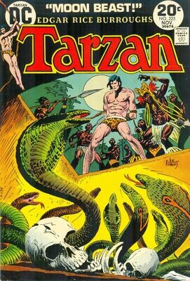 Tarzan #225 - DC Comics - November 1973, 20¢ cover, Kubert art, warehouse find