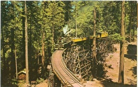 1960s CHROME Postcard: Roaring Camp &amp; Big Trees Narrow-Gauge Railroad