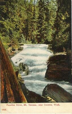 c. 1907 - Paradise River, Mt. Tacoma, near Tacoma, Wash., postcard
