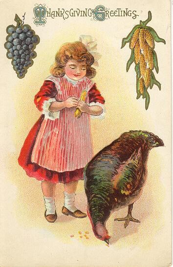 1911 Embossed Thanksgiving postcard with Turkey - NICE