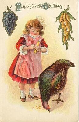 1911 Embossed Thanksgiving postcard with Turkey - NICE