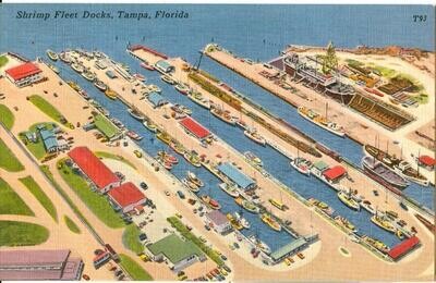 1950s LINEN postcard - Shrimp Fleet Docks, Tampa, Florida., T93, Tichnor #88216