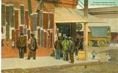 1916 Color Tinted Postcard: Reading the Bulletin Boards, China Town, SF, Calif.