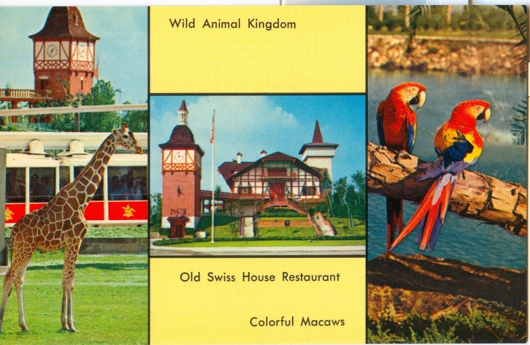 Chrome Postcard: Busch Gardens, Wild Animal Kingdom, Old Swiss House Restaurant