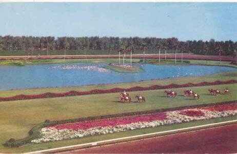 Hialeah Race Course, Miami, 1953 Chrome