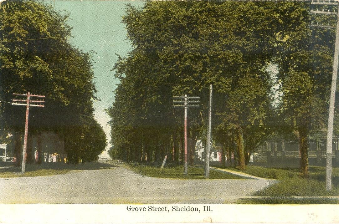 1910s LITHO: Grove Street, Sheldon, Illinois - postcard
