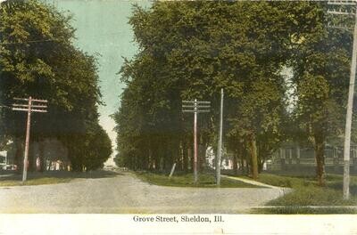 1910s LITHO: Grove Street, Sheldon, Illinois - postcard
