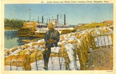 1932 Linen Postcard: Levee Scene and Water Front, Loading Cotton, Memphis, Tenn.