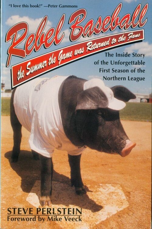 Rebel Baseball: The Summer the Game Was Returned to the Fans by Steve Perlstein