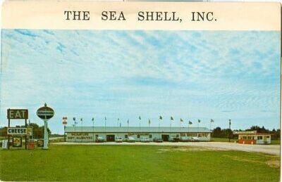 1960s CHROME: The Sea Shell, Inc., Highway 12, Tomah, Washington