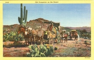 1943 Linen Postcard: Old Prospector on the Desert 3B-H1081