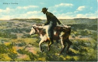 Chrome circa 1940s: Riding a Yearling A-1907 Benham Company, Los Angeles, #2399