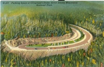 LINEN 1930s: Clingman's Dome, Great Smoky Mountains, Tennessee, postcard