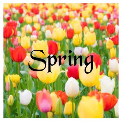 Spring