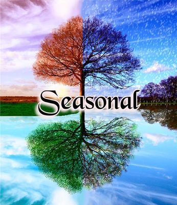 Updating Seasonal