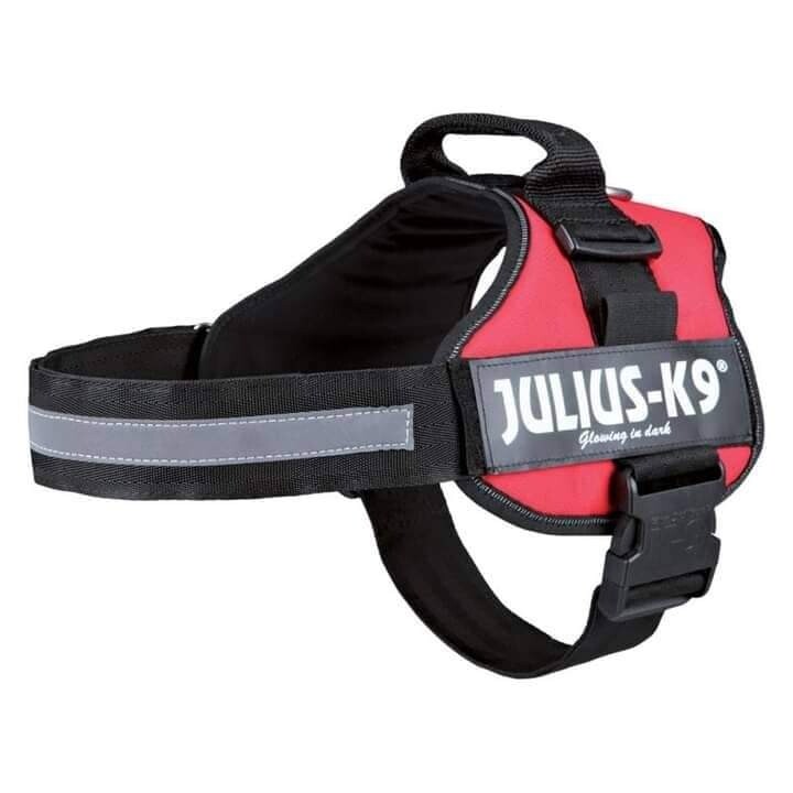 Harnais k9 julius