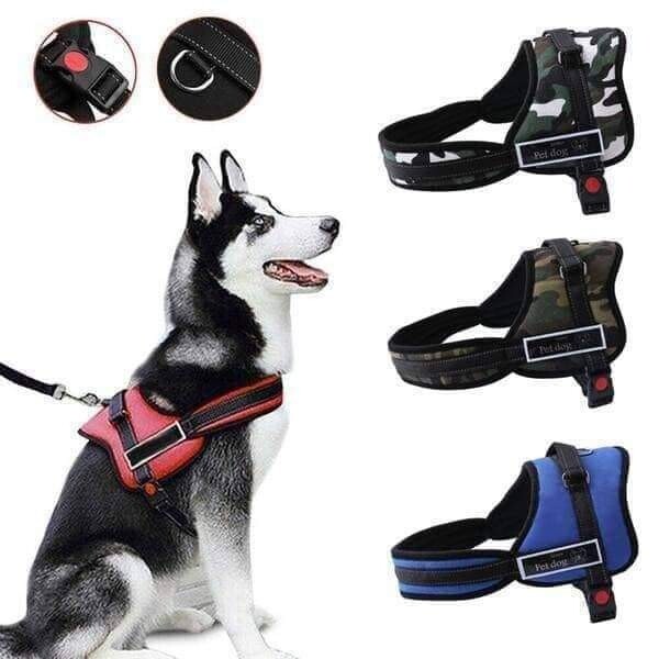 Harnais pet dog pour chien