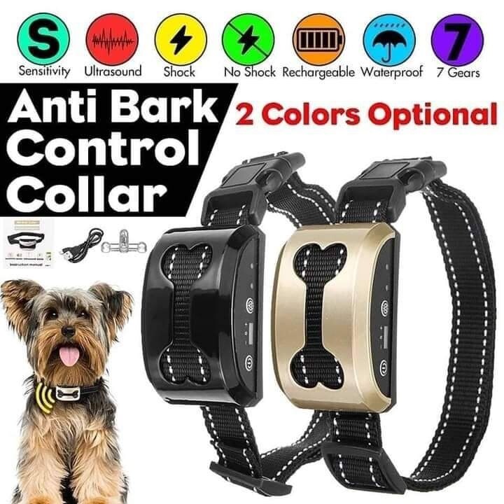 Collier anti aboiement pour chien