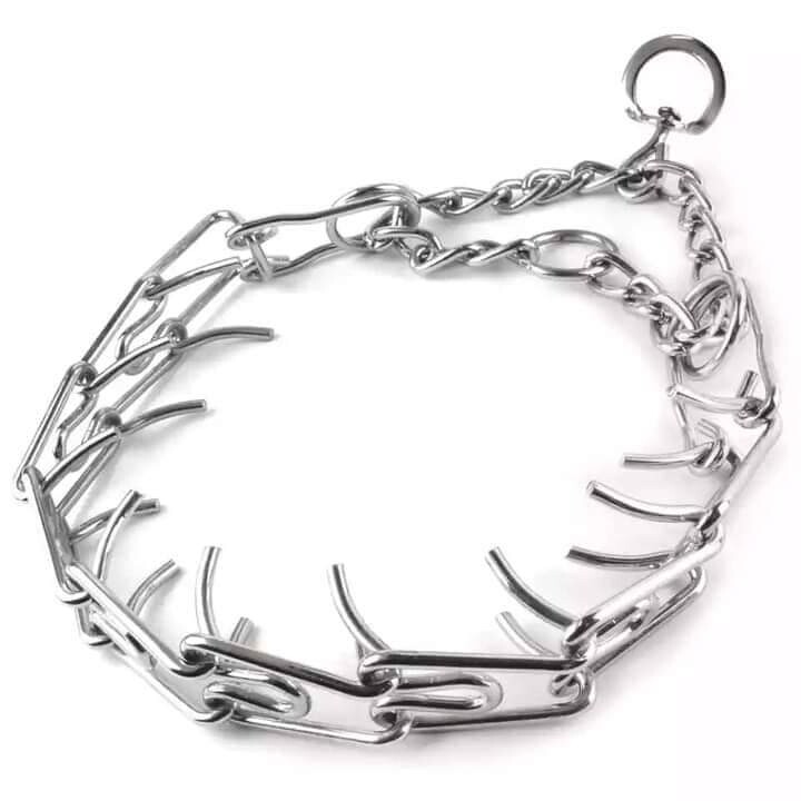 Étrangleur de dressage pour chien