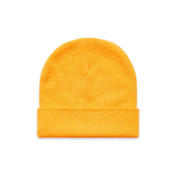 Simple plan Beanie