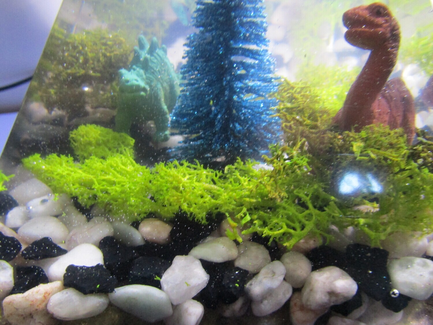 Dinosaurs rally around the tree
