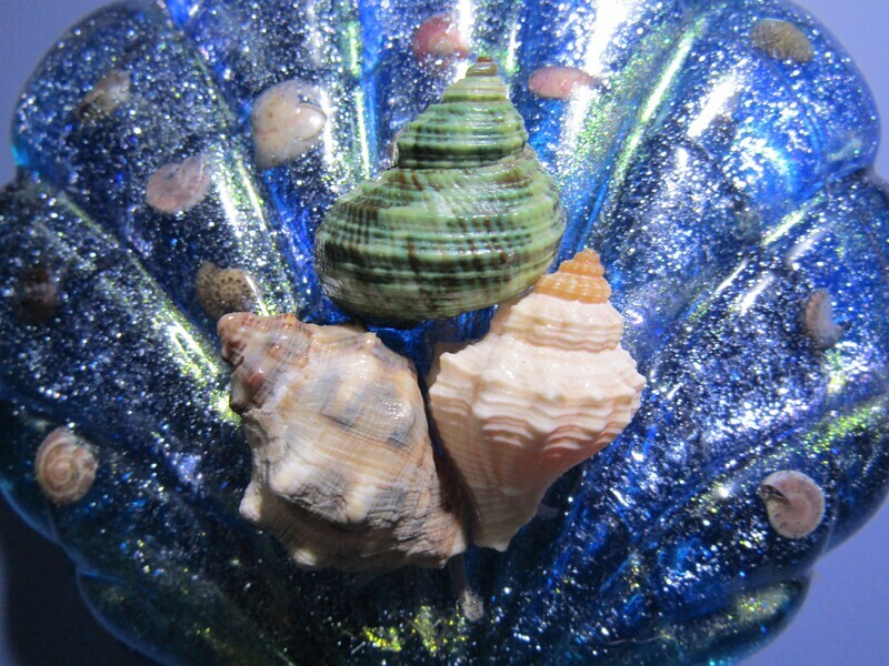 Seashell Trinket Box Clam Shell