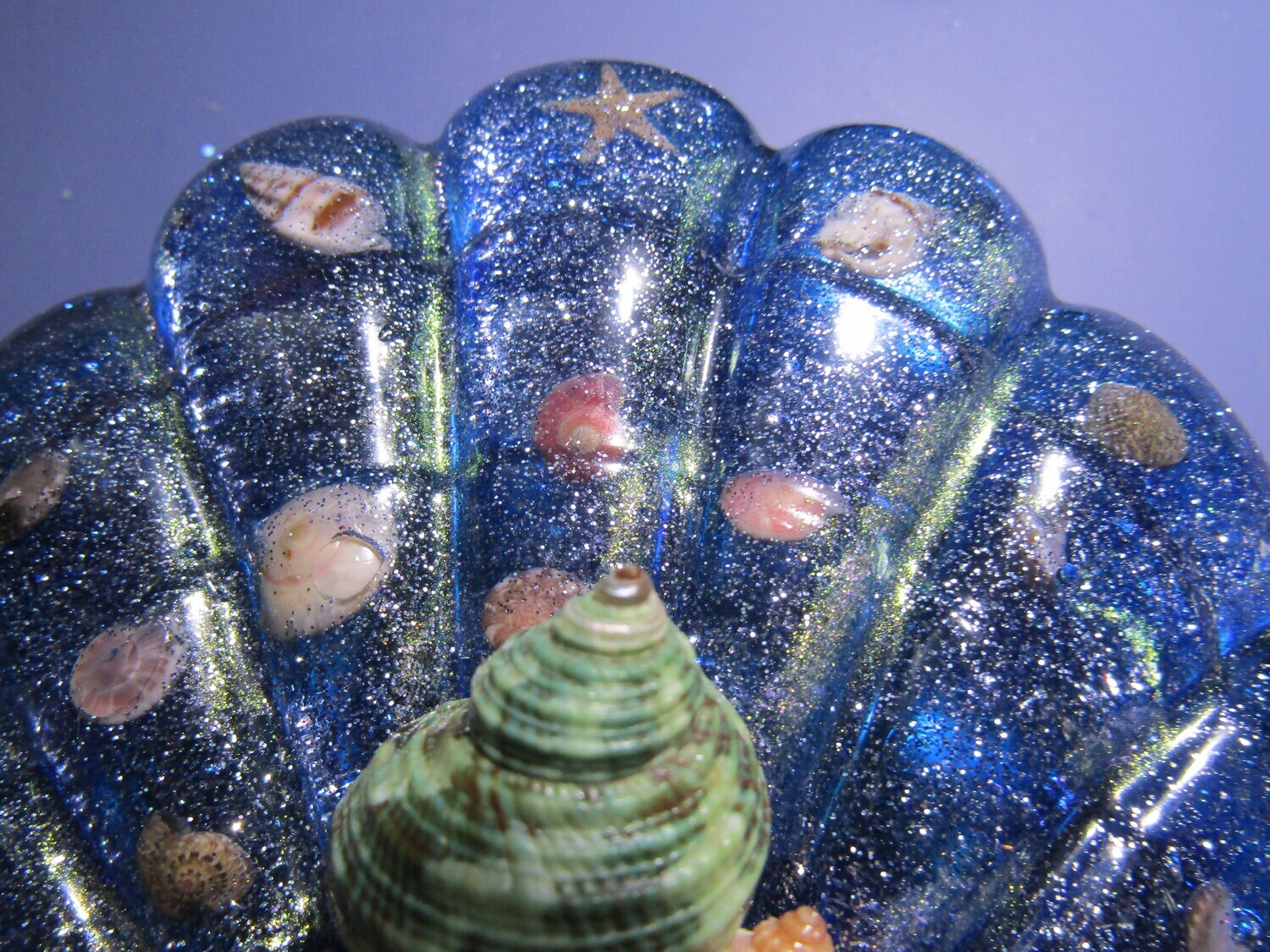 Seashell Trinket Box Clam Shell