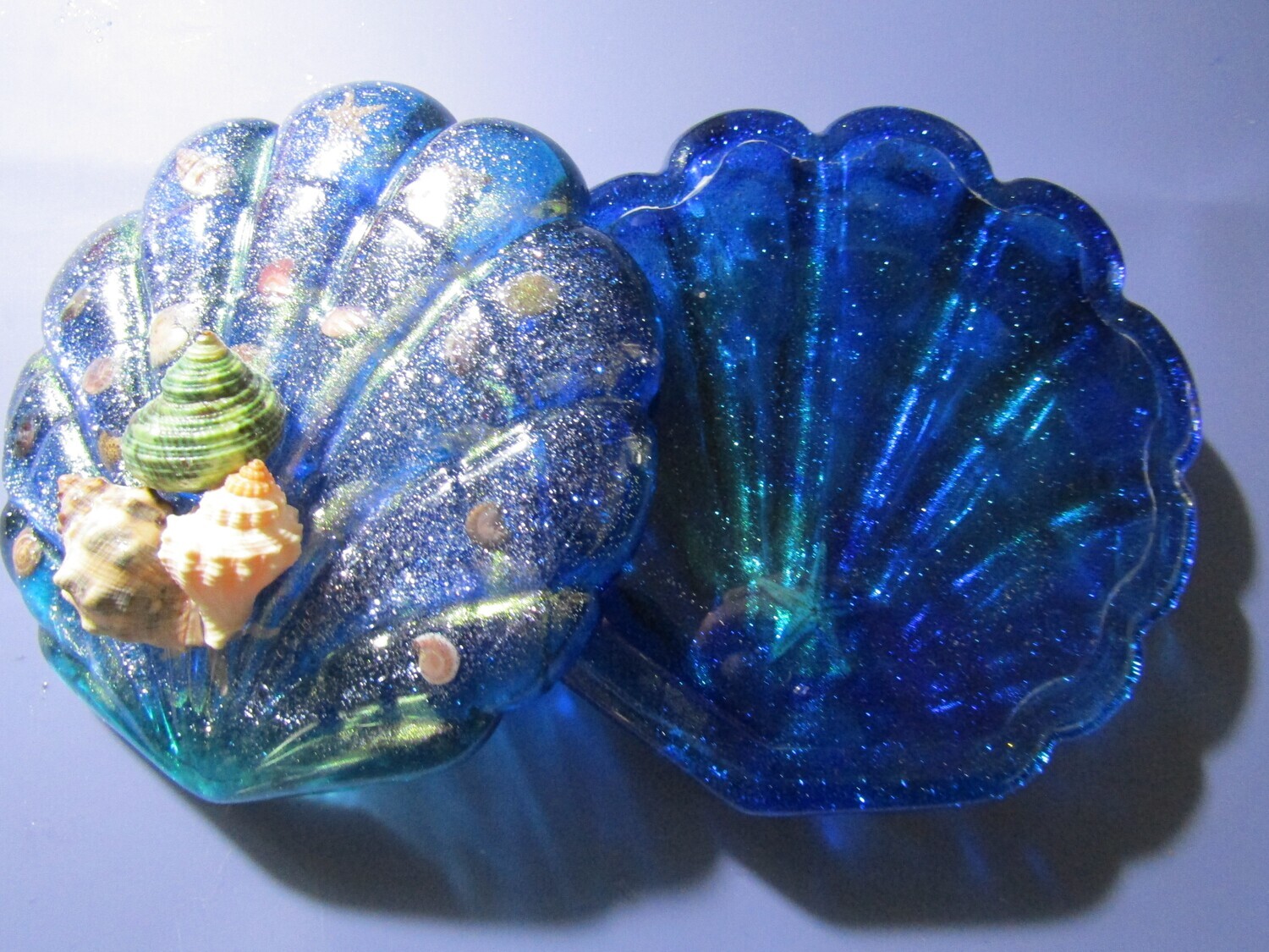 Seashell Trinket Box Clam Shell