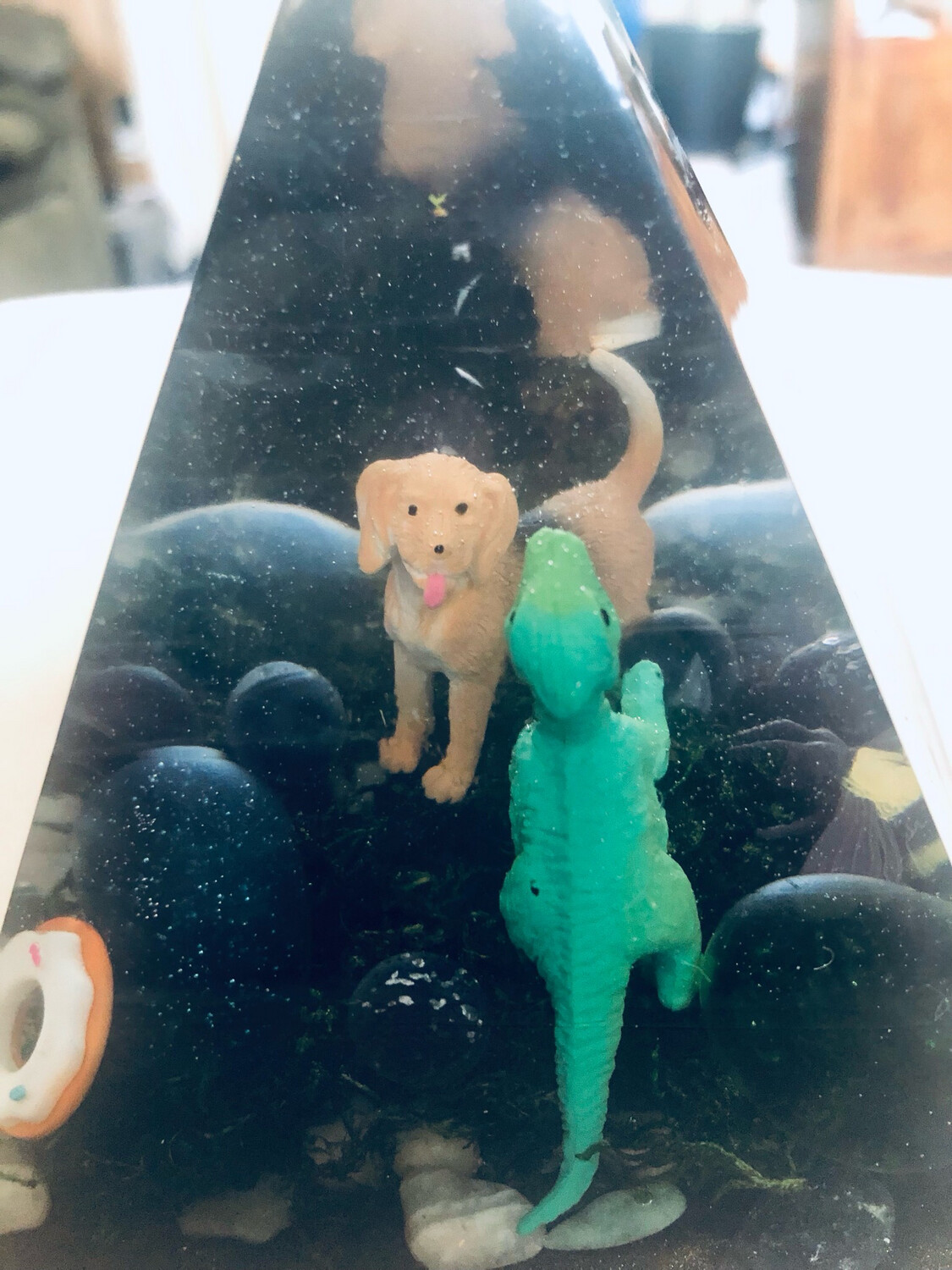 Look At What Happens When A Dinosaur Plays With Our Family Friend