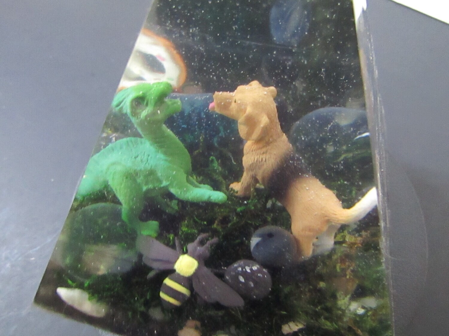 Look At What Happens When A Dinosaur Plays With Our Family Friend