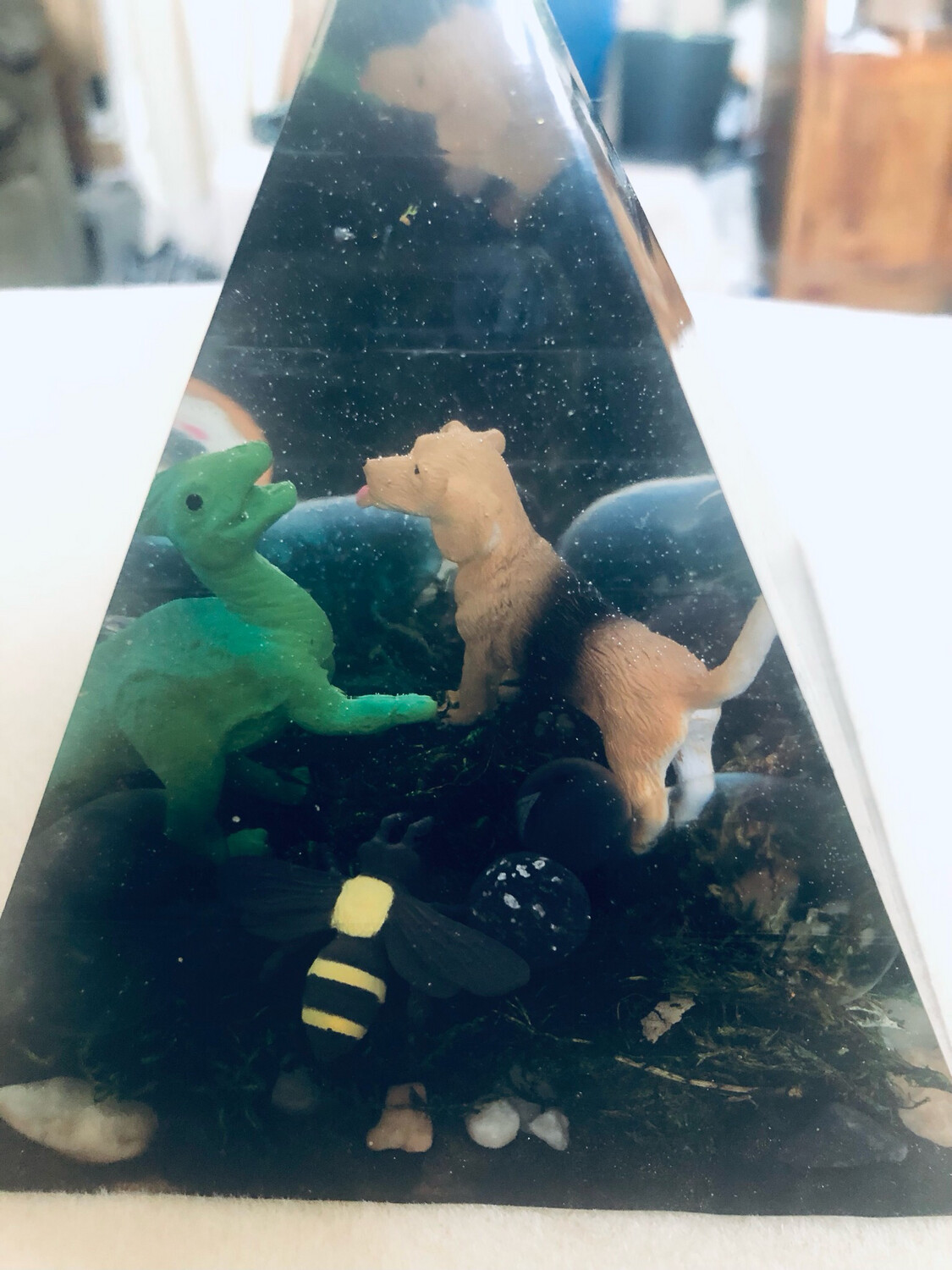 Look At What Happens When A Dinosaur Plays With Our Family Friend