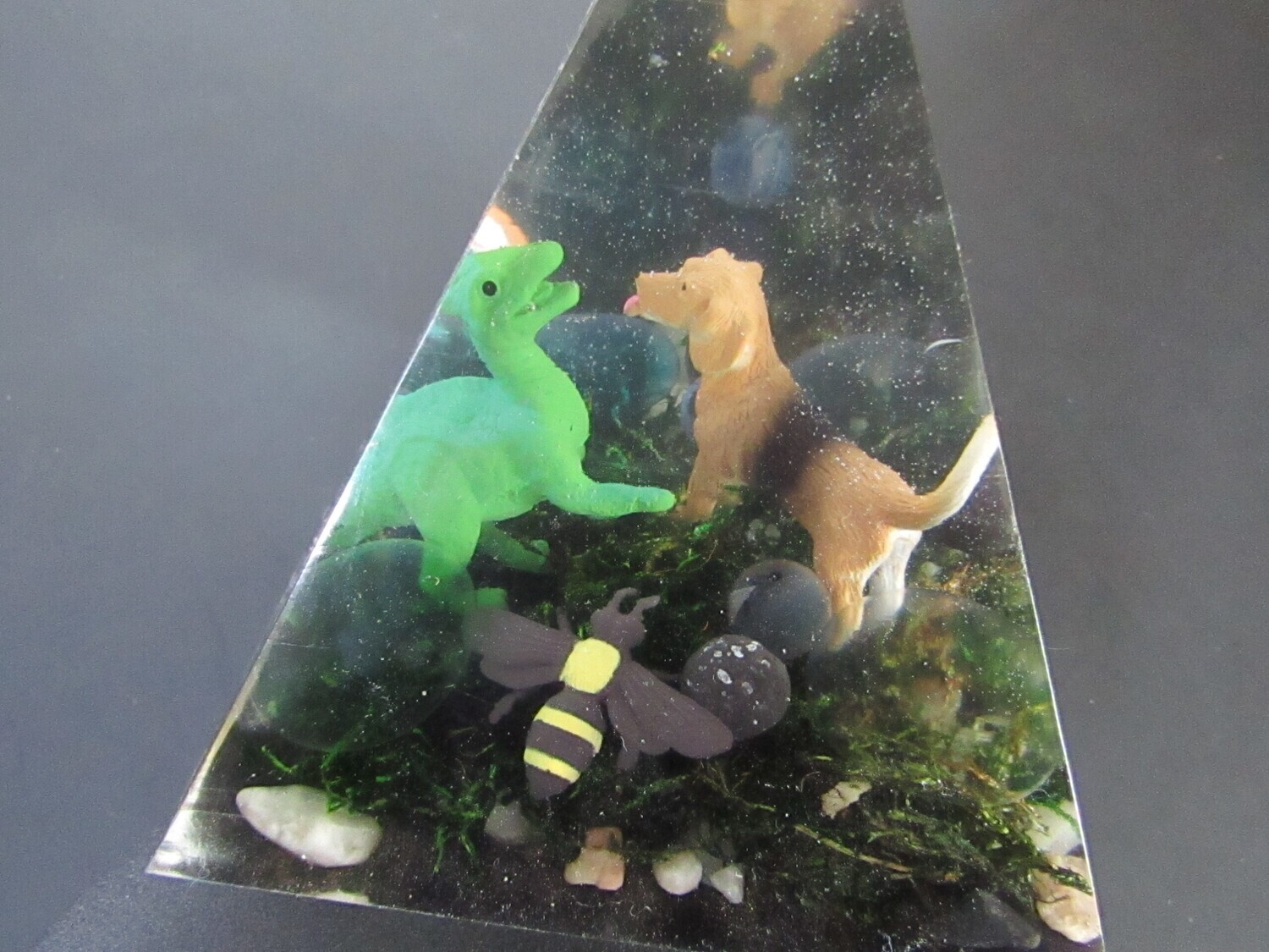 Look At What Happens When A Dinosaur Plays With Our Family Friend