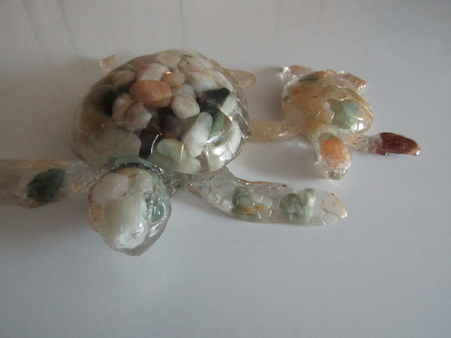 Rocky Turtles
