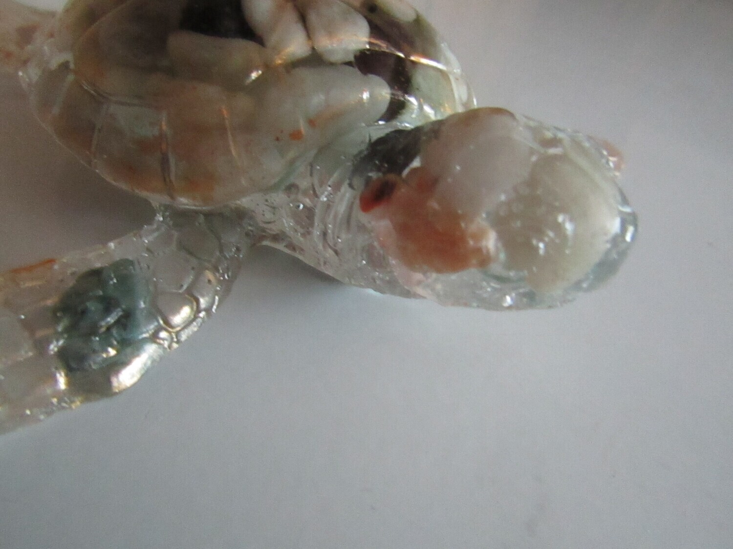 Rocky Turtles