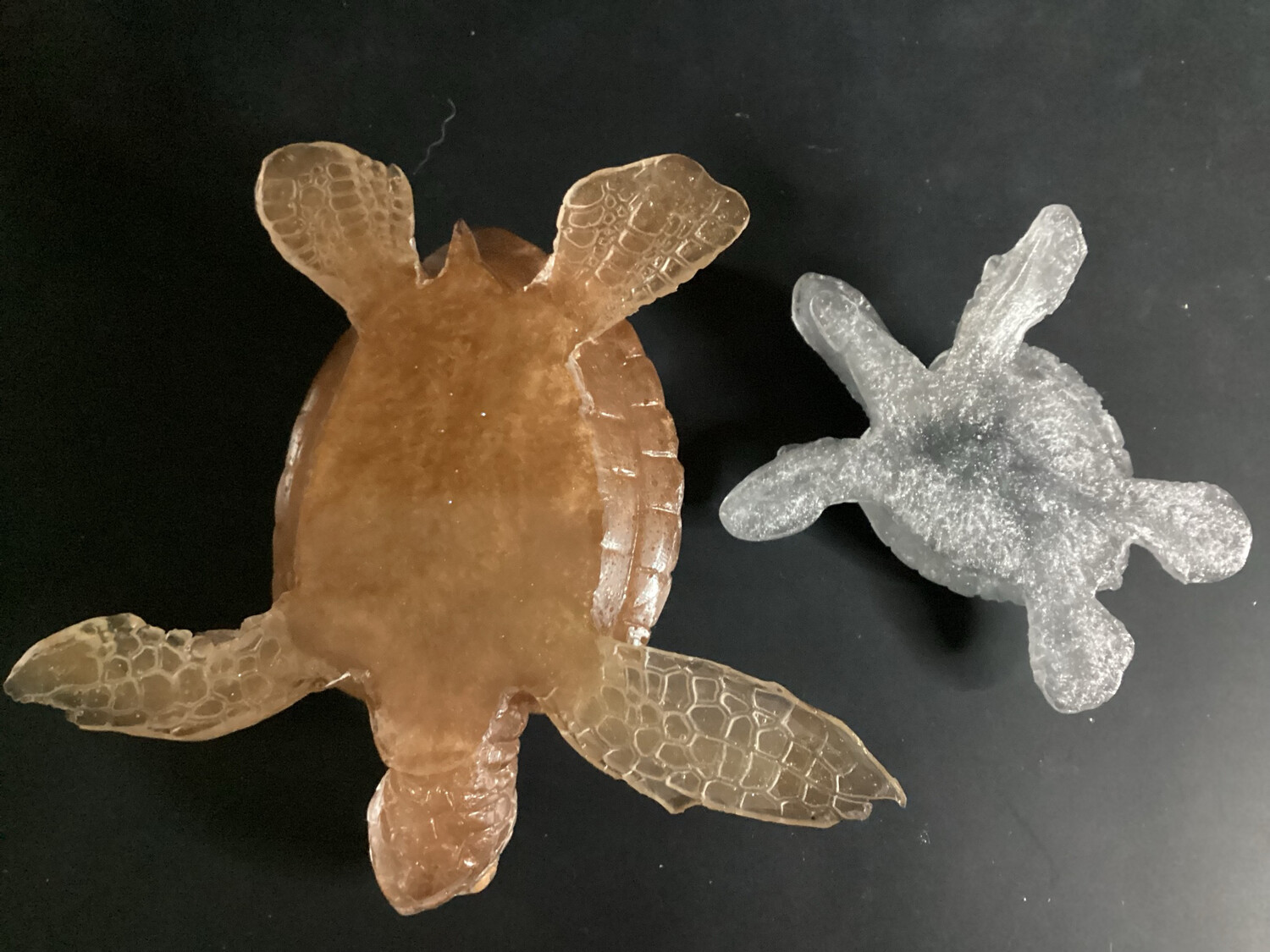 Copper And Silver Bee fantastic Turtles
